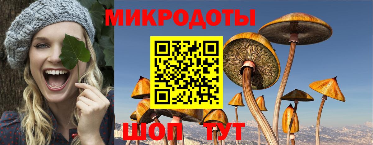 Галлюциногенные грибы мухоморы  Псилоцибиновые грибы Psilocybe  Вход с VPN  Нижний Тагил 